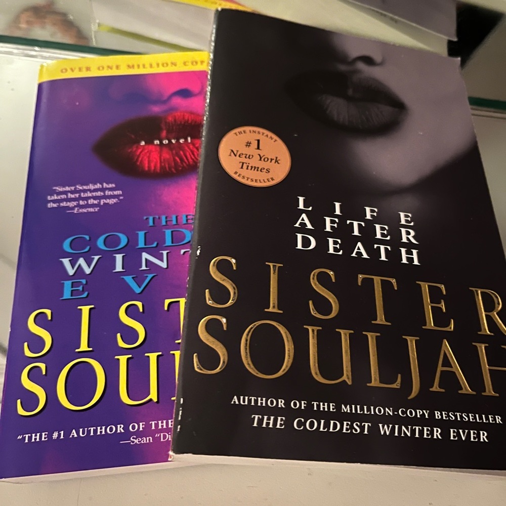 Sister Souljah The coldest winter of ever and life after death